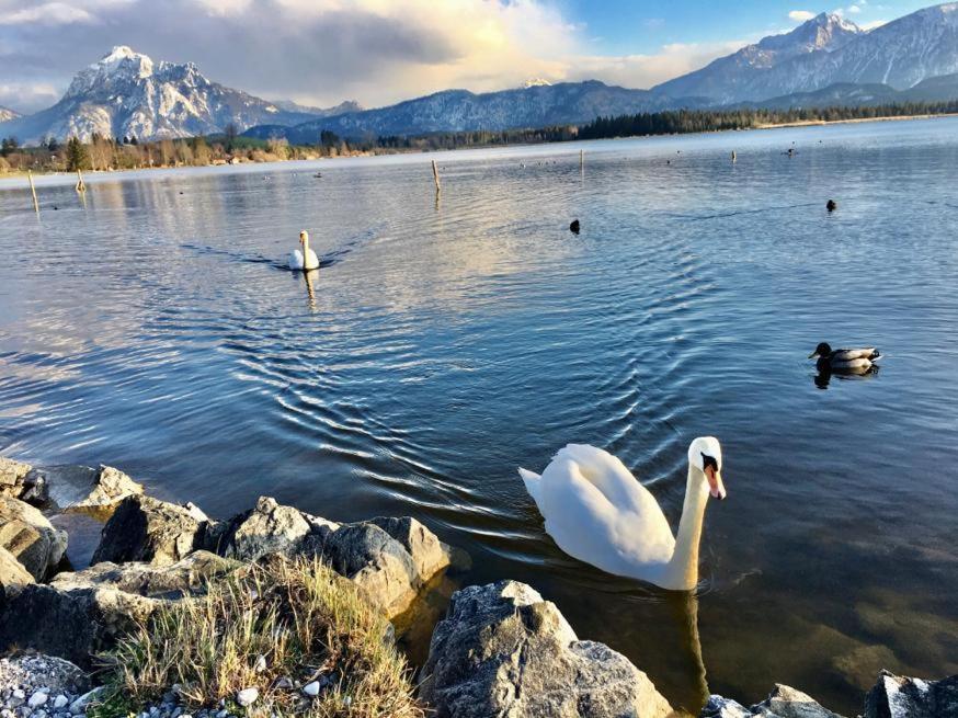 Hotel Fischer Am See Fussen Luaran gambar